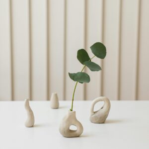 Peperomia Lemon Lime